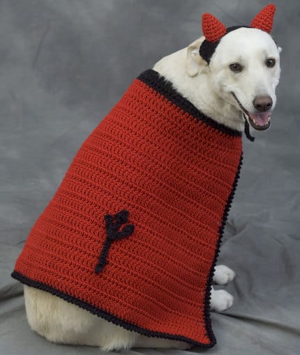 dog with a crocheted cape