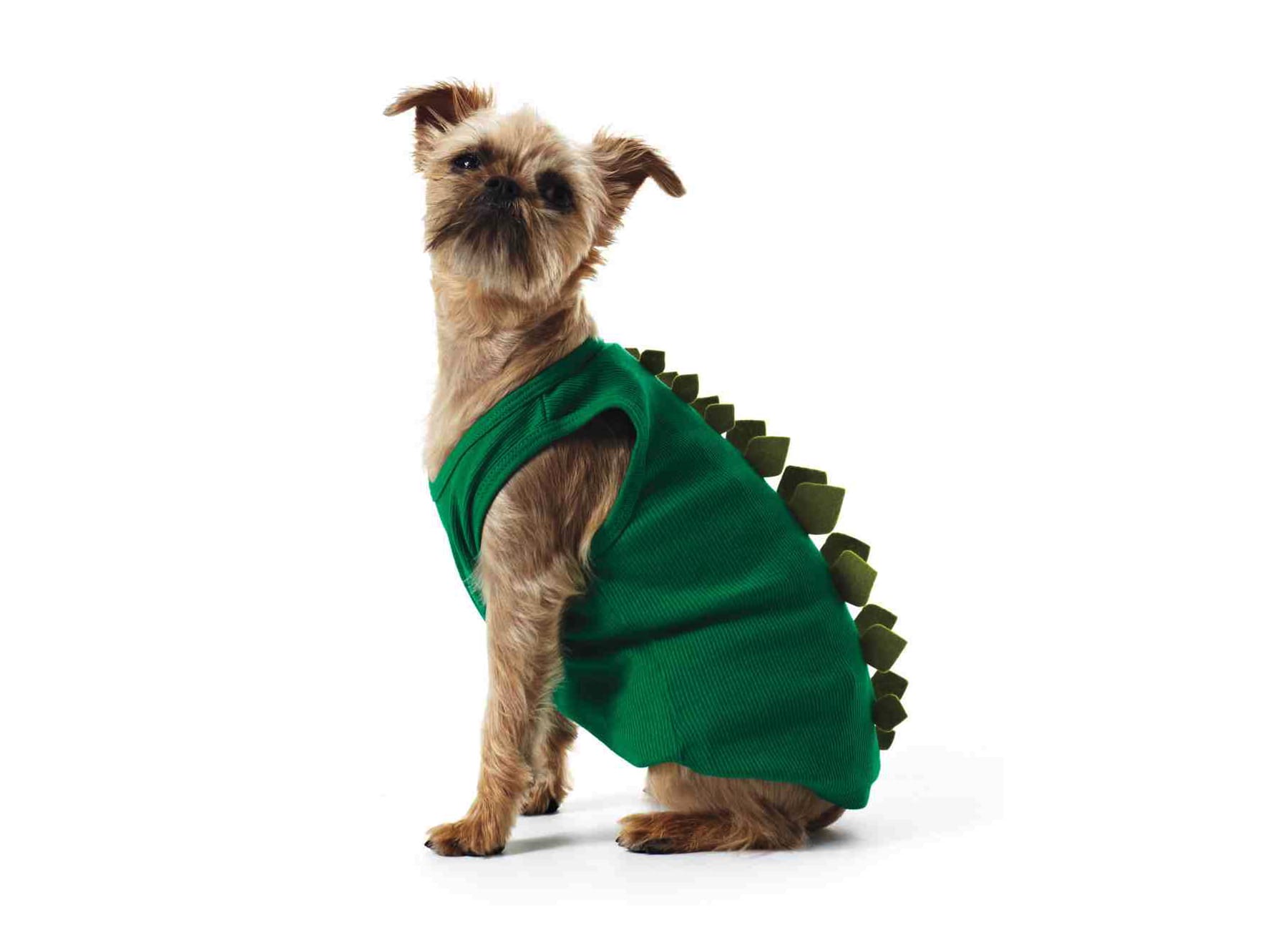 Dinosaur project dog costume