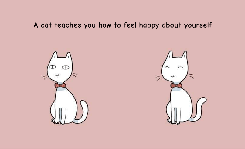 cats love themselves
