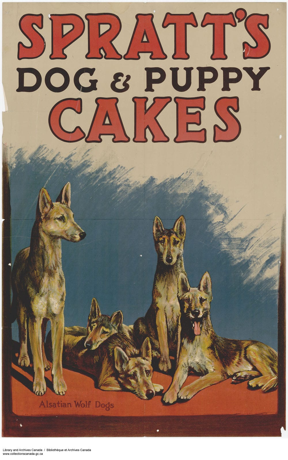 Dog & Puppy Cakes