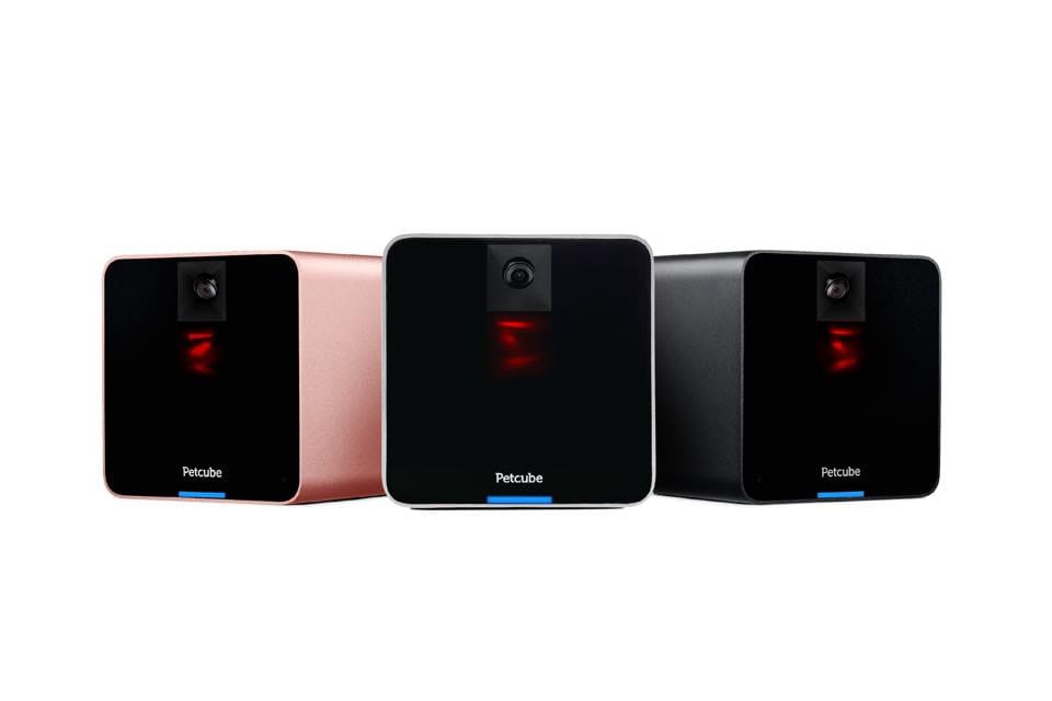 Petcube new colors