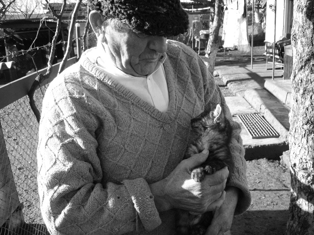 cat with an old man