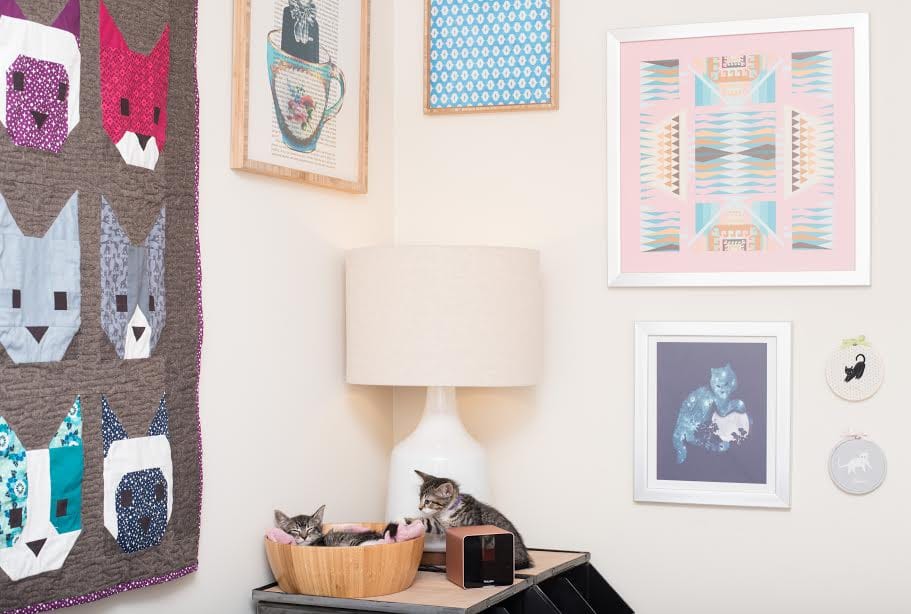 PetFriendly Bedroom Makeovers