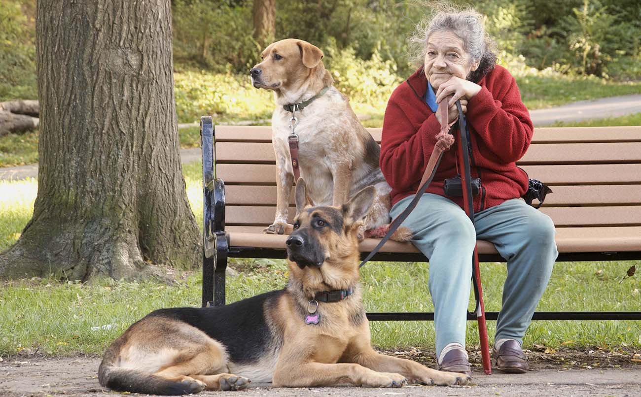 old lady with two dogs