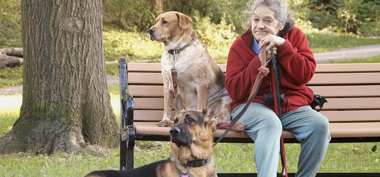 Golden Retrievers and Golden Years: Senior Citizens and Pets