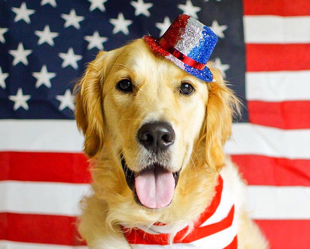 Independence Day Pet Safety Checklist