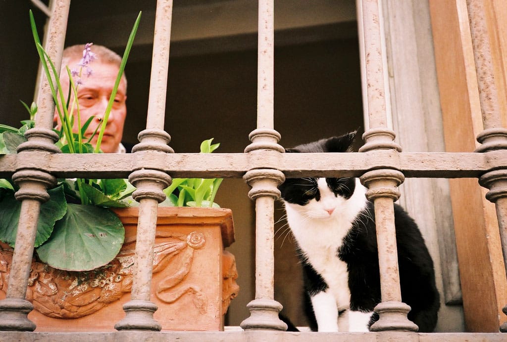 old man with a cat