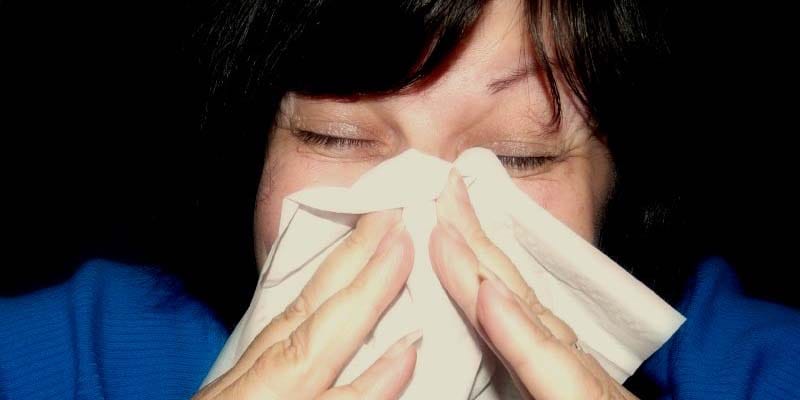 Animals and Allergies: How to Alleviate Symptoms