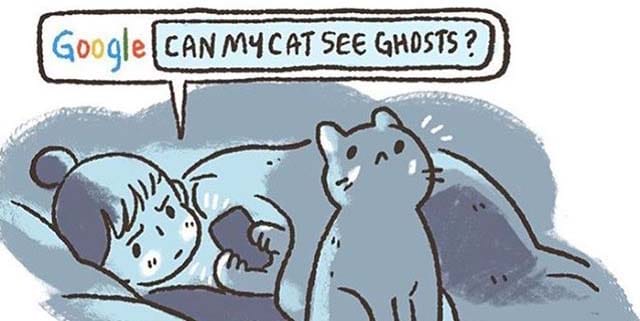 10 Comics Every Cat Owner Will Understand