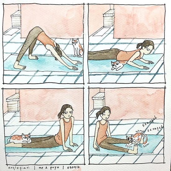 Cat doesn't want her humom to do yoga
