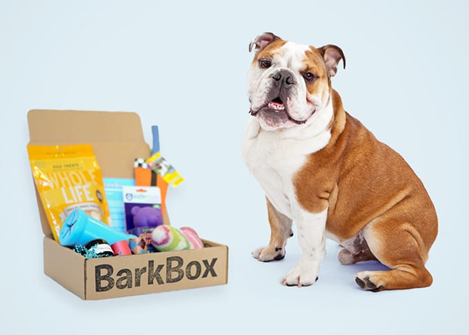 BarkBox box of treats