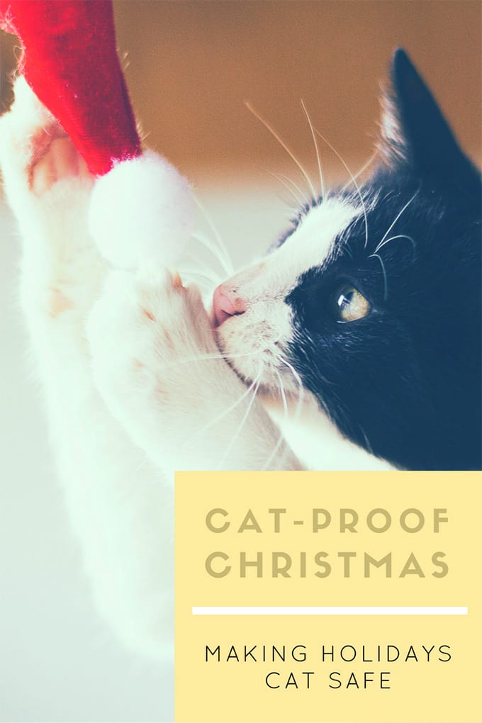 12 Steps to CatProof and DogProof Your Christmas Tree