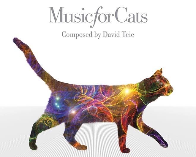 David Teie’s Music for Cats