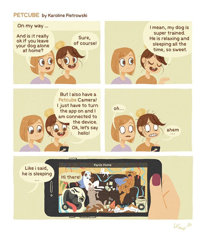 Using Petcube pet camera comics | comics