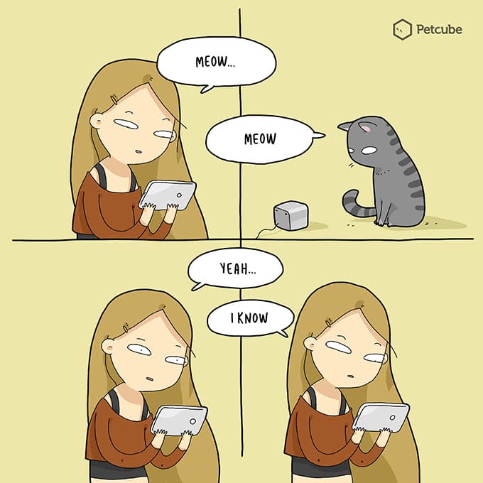 Talking with your cat using pet camera | comics