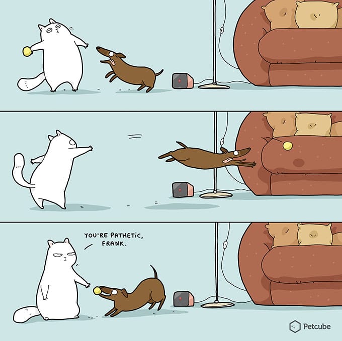 Animals playing ball | comics