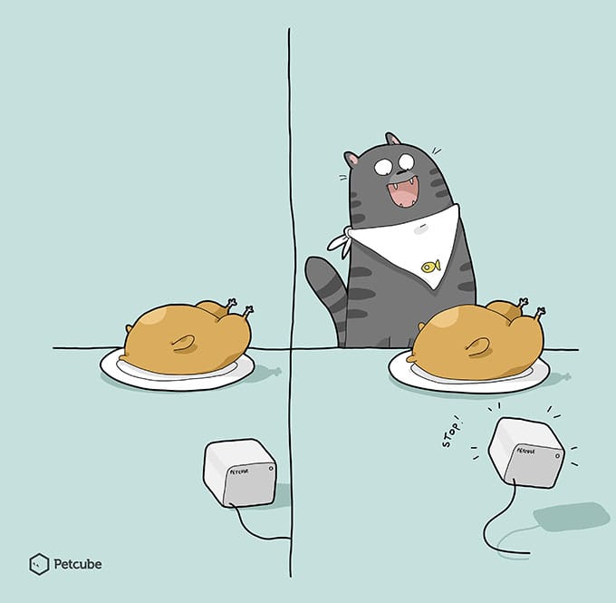 Cat stealing food comics