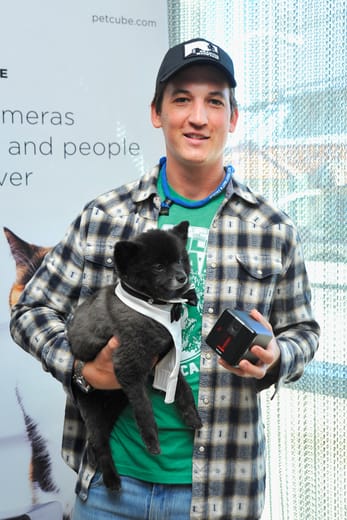 Miles Teller with a bulldog