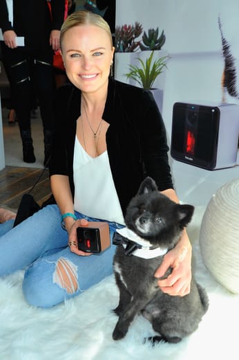 Malin Ackerman with Petcube and a dog