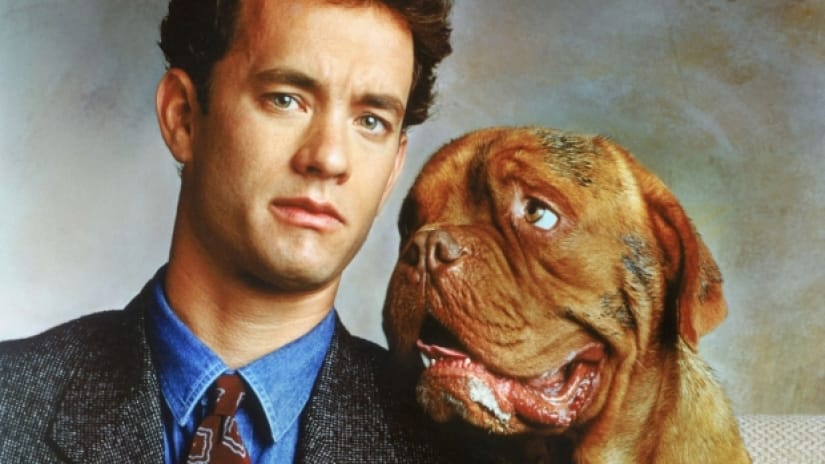 12 Famous Movies About Dogs