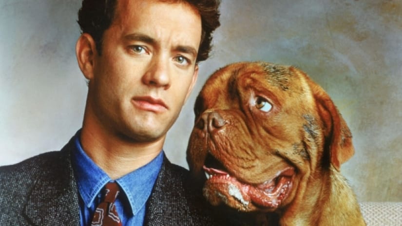 Turner and Hooch