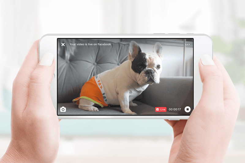 Petcube App