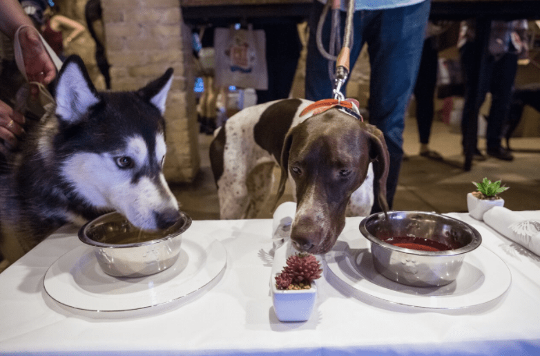 dogs eating