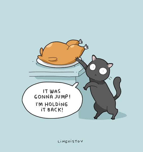 funny cat comics