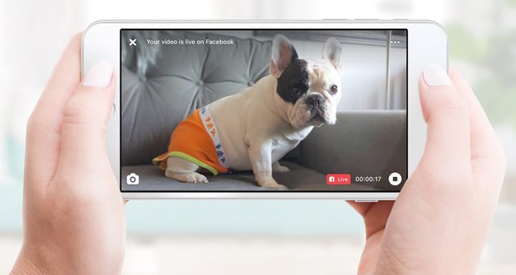 Petcube Facebook Live App