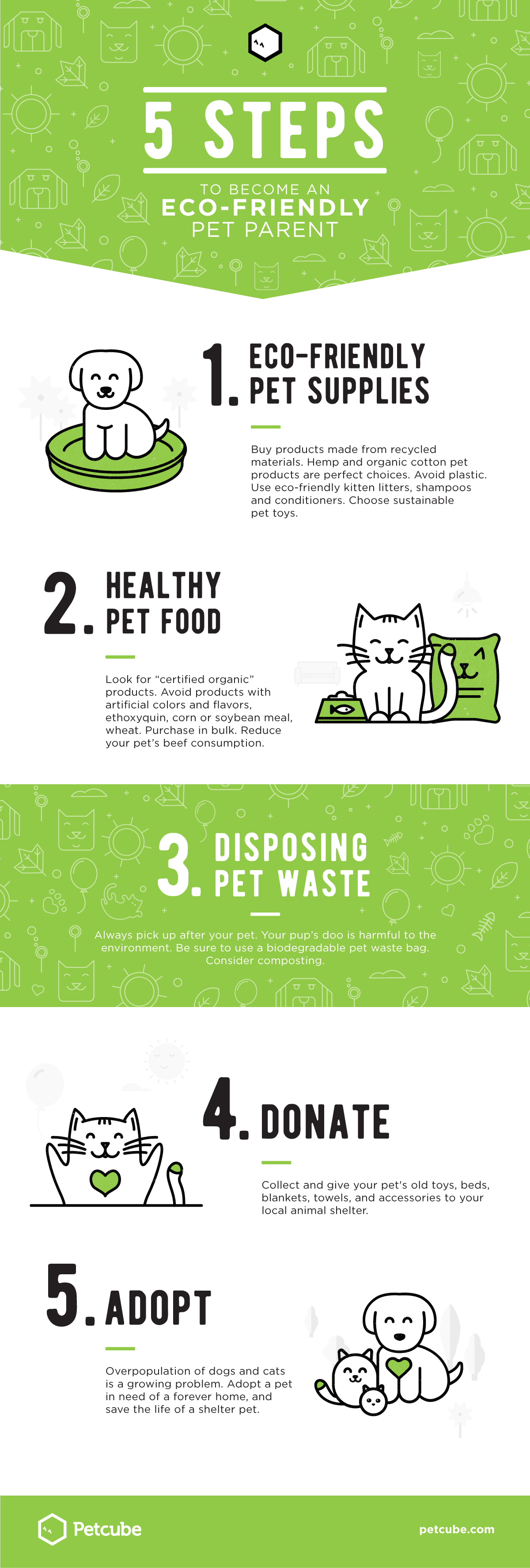 5 Steps To Become An Eco Friendly Pet Parent