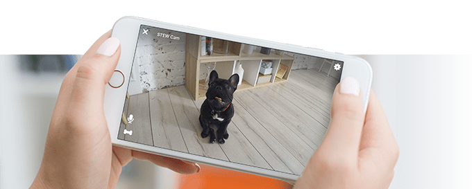 Stay connected to your pet remotely from your smartphone