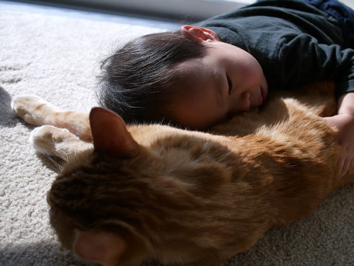 Cute baby boy sleeps with a cat