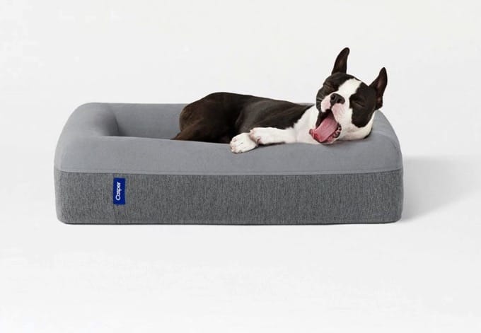 Casper dog bed