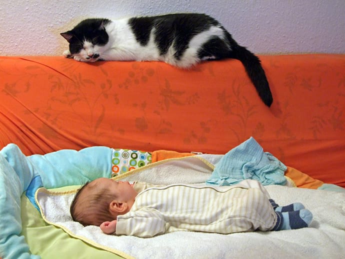 Cat sleeping with a baby