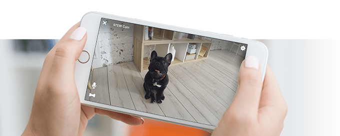 Petcube Play App