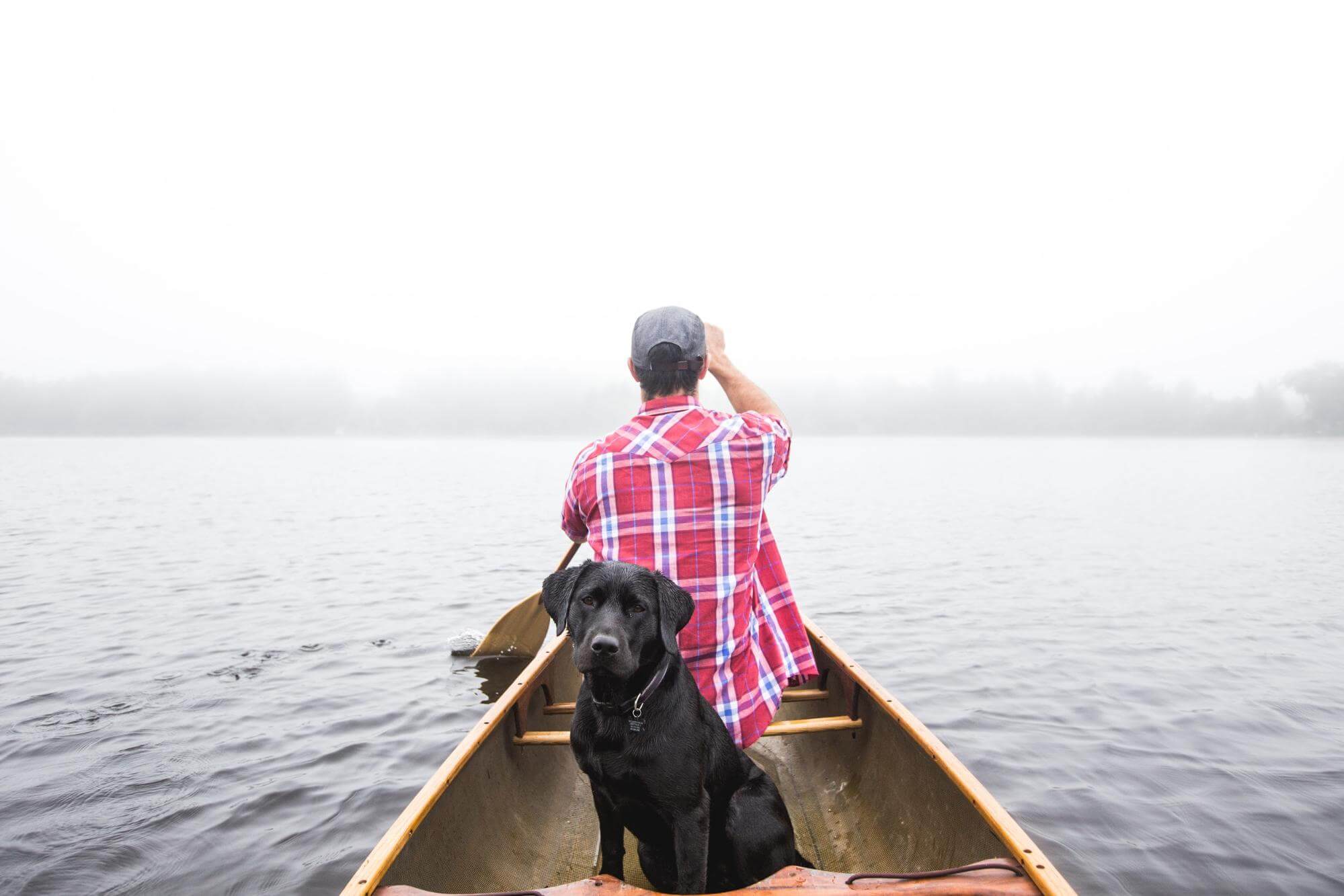 A man and a dog on a boat