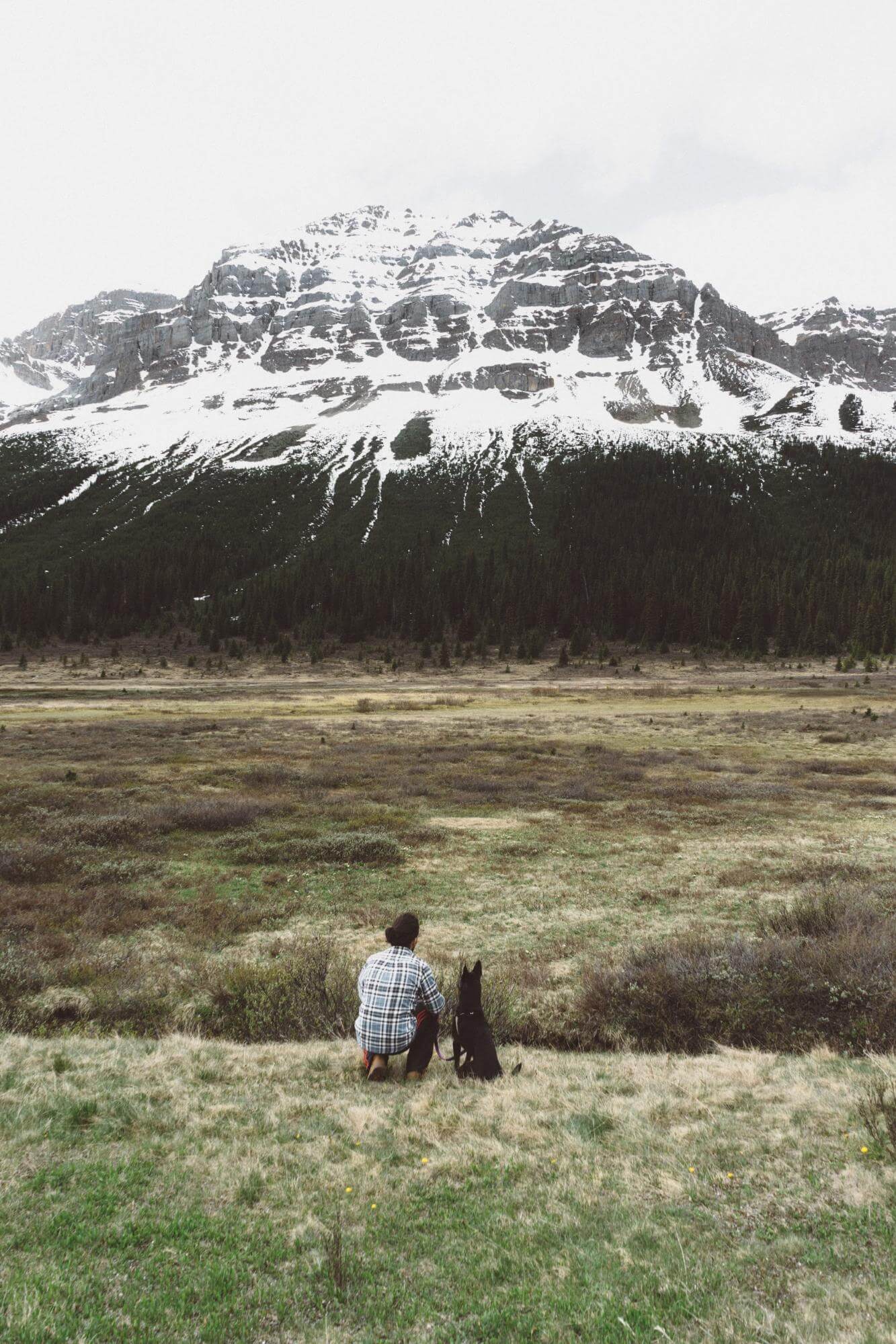 A man and a dog looking at the mountain