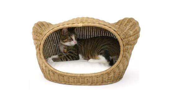 cat toy gift basket