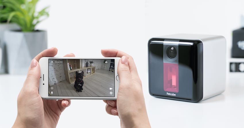 petcube play pet camera