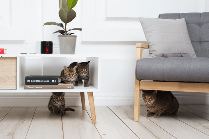 Petcube Play pet camera and cats