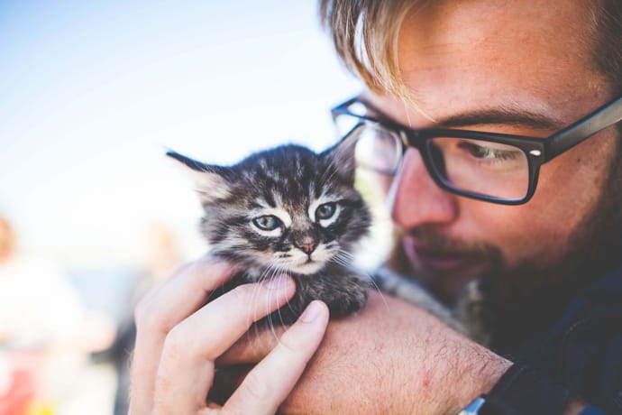 holding newborn kittens