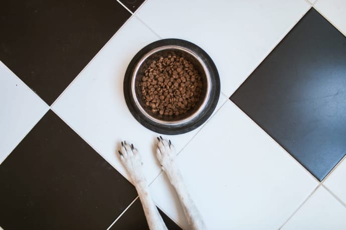 Pet feeding bowl