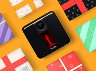 Why Petcube Pet Camera is a Perfect Gift