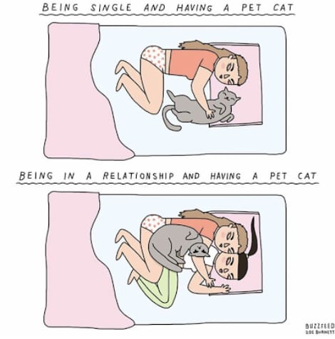 Comic of cat cuddling with owners