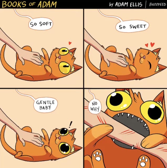 Comic of a cat biting its owner
