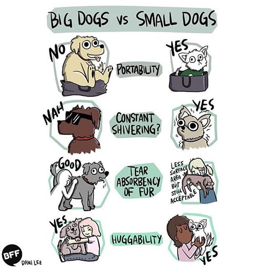 comic about big dogs vs small dogs