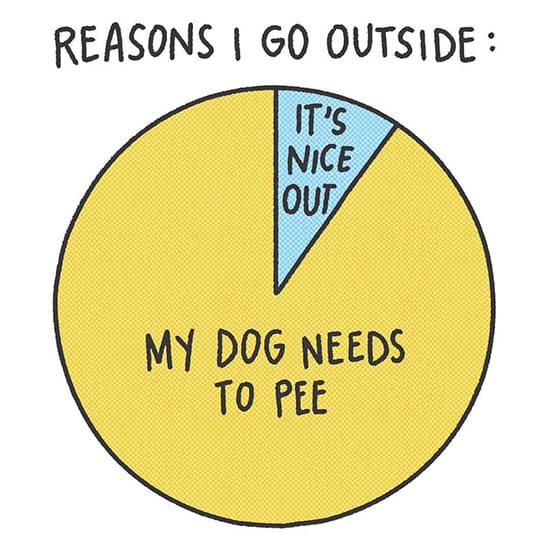 dog comic reason to go outside