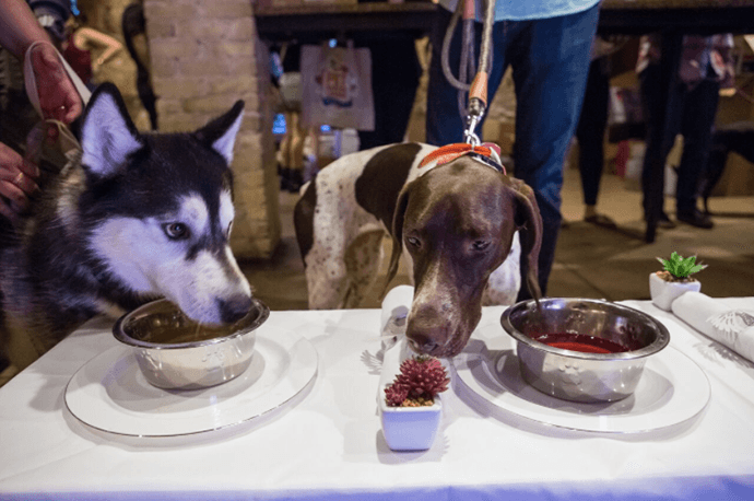 Pups drinking dog wine