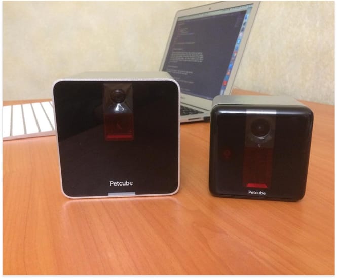 petcube cameras