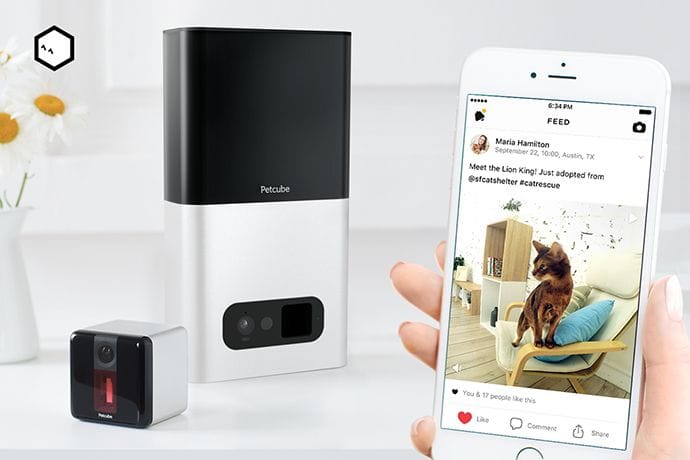 Petcube App Enables Videos, Hashtags And Mentions